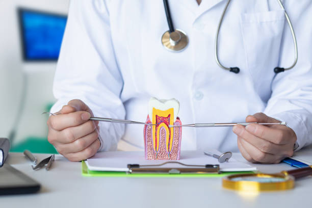 Best Emergency Treatment for Toothache in Bellevle, IL
